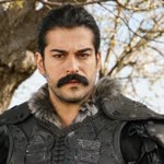 Brindar