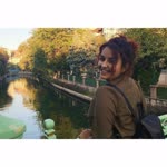 Rabia