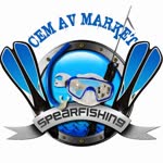 Cem