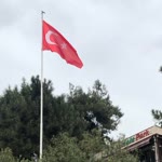 Yonca