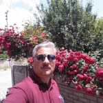 Nihat