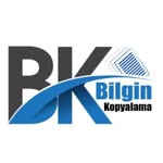 Bilgin