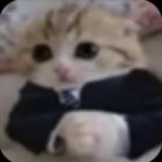 Samet