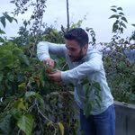 İrfan