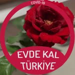 Merve