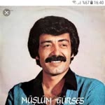 Haldun