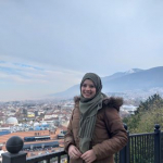 Nilüfer