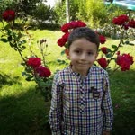Hatice