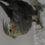 Emrah