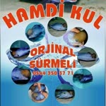 Hamdi