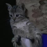 Hatice