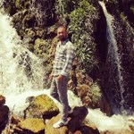 Erdal