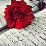 Rabia