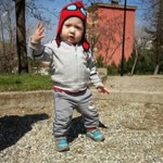 Guler