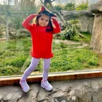 Fehmi