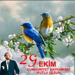 Aynur