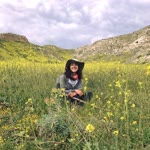 Ayşegül