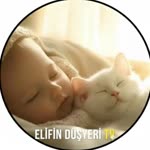 Elifin