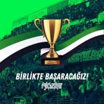 Şahin