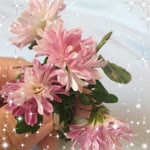 Hatice
