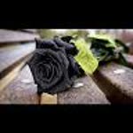 Hatice