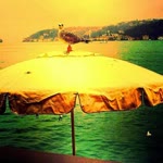 İbrahim