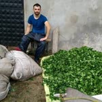 Metin
