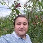 Sitki