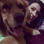 Seda