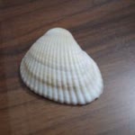 Erhan