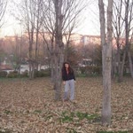 Yeliz
