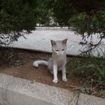 İlker