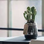Melike