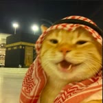 Yasin