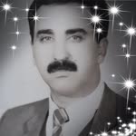 Arif