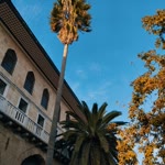 Büşra