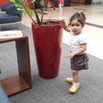 Arif