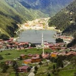 Profil fotoğrafı