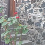 Büşra