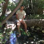 Umut