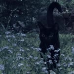 Zeynep