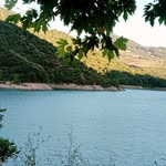Zuhal
