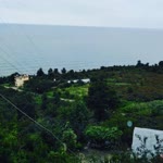 İlknur