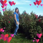 Hanife