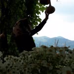 Ayşe