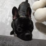 Mevra