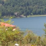 Bulent