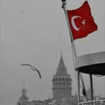 İnci