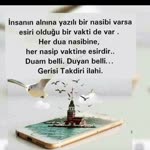Sibel