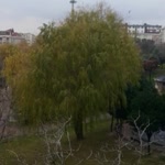 Z. Güngör